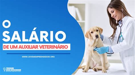 Sal Rio Auxiliar Veterin Rio Portal Jovem Empreendedor Youtube