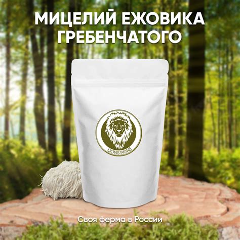 Ежовик Гребенчатый