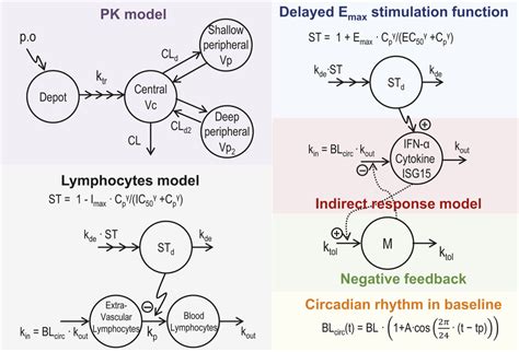 Jnj Pk Pd Model Diagram Pk Dose Proportional Compartment Pk