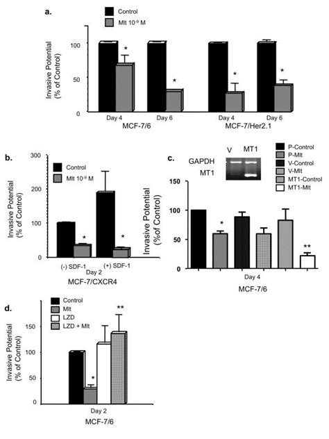 Melatonin Via Mt Suppresses The Invasive Potential Of Human Breast