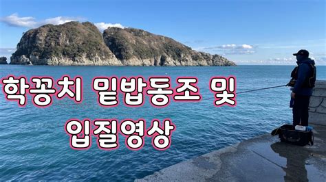 해금강학꽁치 밑밥동조 및 입질영상 Youtube