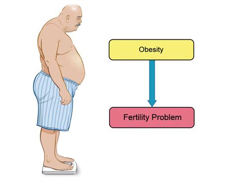 How Obesity Can Cause Fertility Problem