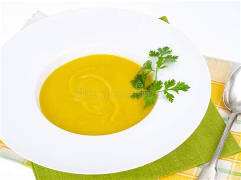 Placa Blanca Con Sopa De Crema De Calabaza Gruesa Foto De Estudio