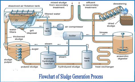 What Is Sludge Generation Process Netsol Water