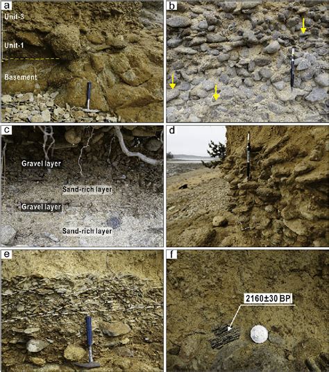 Photographs Of The Holocene Deposits In The Study Area A Unit Is