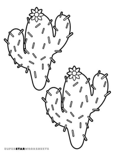 Cactus Template Superstar Worksheets