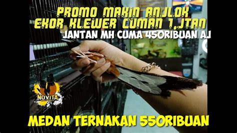 PROMO BERLANJUT MEDAN 550 EKOR KLEWER 1jtan SAJA 11 12 22 YouTube