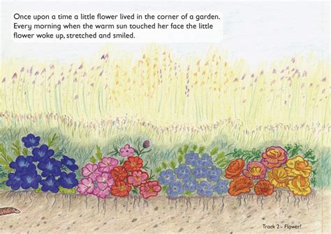 Flower Power Book Teachers Resource Pack For Large Schools Flower