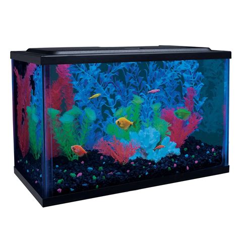 Glofish Gallon Aquarium Kit With Led Tetra Whisper Filter Pet