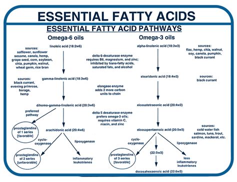 Essential Fatty Acids