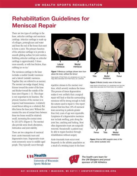 Rehabilitation Guidelines For Meniscal Repair