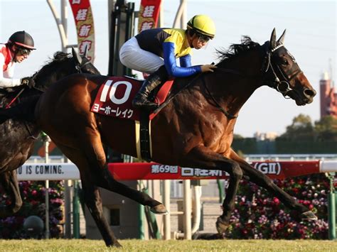 日経新春杯2023特集 過去10年の結果｜競馬予想のウマニティ