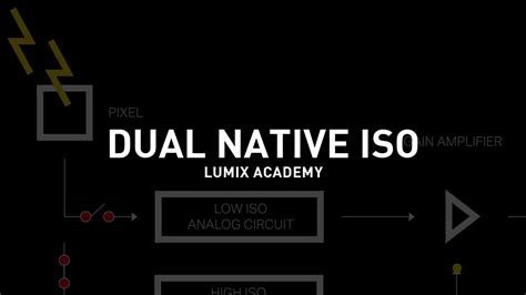 What Is Dual Native ISO YouTube