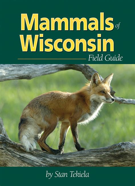 Mammals Of Wisconsin Field Guide Adventurekeen Shop