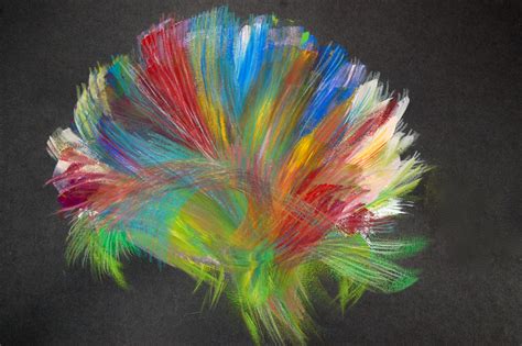 Indiegogo Campaign – Art at the Human Brain Mapping | The Neuro Bureau