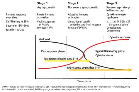 Cytokine Storm Release Syndrome And The Prospects For Immunotherapy