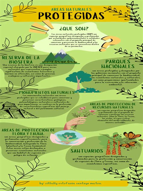 Infografia Pdf Fauna Biodiversidad