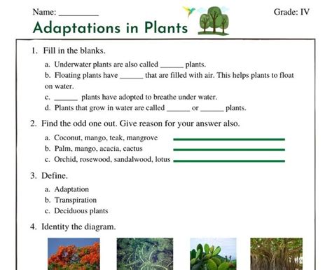 Adaptation In Plants Class Worksheets