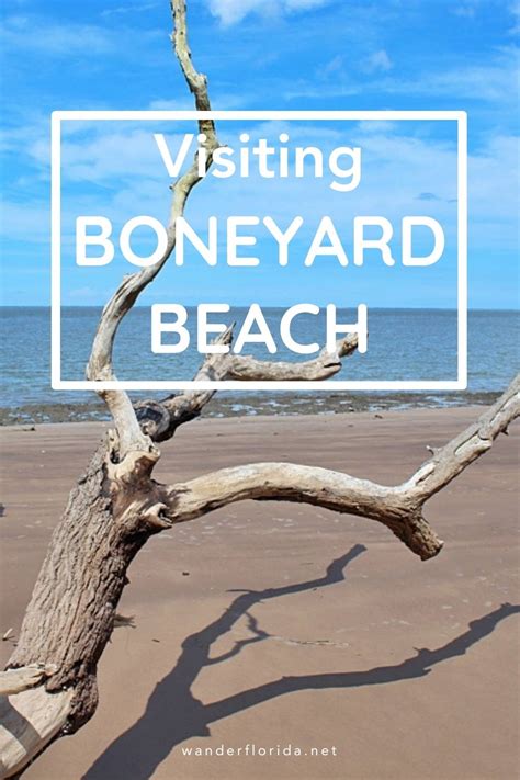 Explore The Beauty Of Boneyard Beach, Florida - Wander Florida