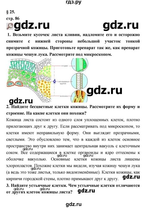 ГДЗ параграф 25 биология 7 класс Пасечник, Суматохин