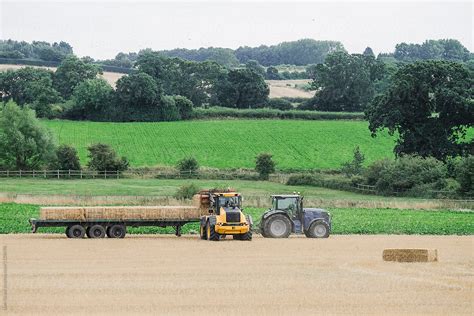 Wheel Loader Collecting Straw Bales And Loading Them Onto A Trac By