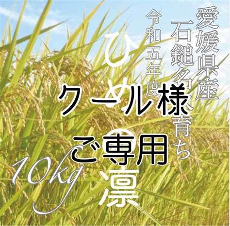 クール様ご専用 R5年度米愛媛県産 ひめの凛 稲架掛け米 10kg By メルカリ