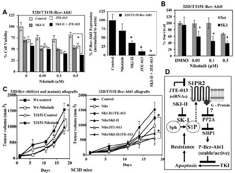 Effects Of The Inhibition Of Sk And S P On Nilotinib Induced