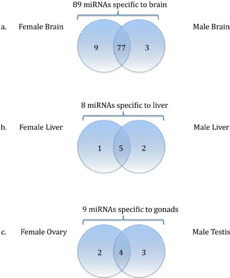 Venn Diagrams Of Sex Dependent Distribution Of The Tissue Enriched Download Scientific Diagram