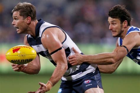 Geelong Cats Vs North Melbourne Betting Tips Predictions And Odds Cats