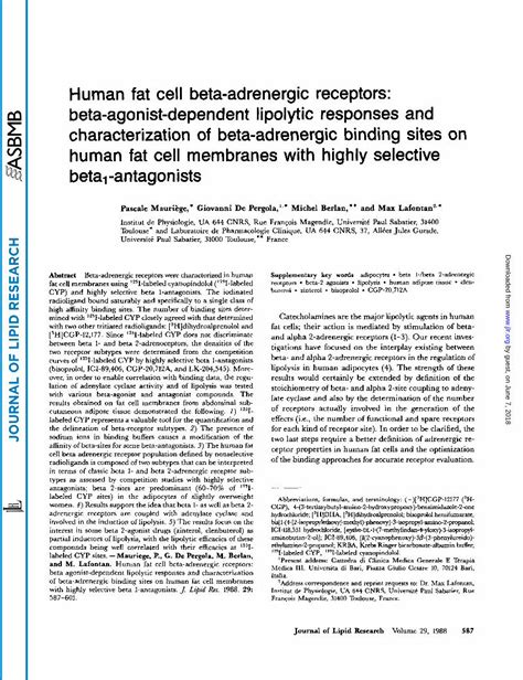 Pdf Human Fat Cell Beta Adrenergic Receptors Beta Agonist