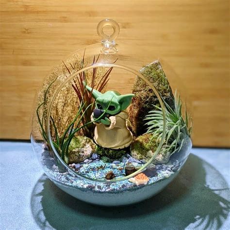 Customized Air Plant Terrarium Star Wars Yoda Furniture Home