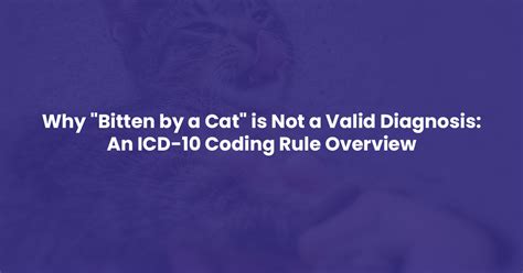 Why Bitten By A Cat Is Not A Valid Diagnosis An Icd 10 Coding Rule