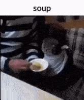 Cat Eating Soup GIF - Cat Eating Soup - Discover & Share GIFs