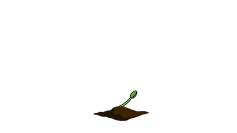 A Growing Plant Small Animation Youtube