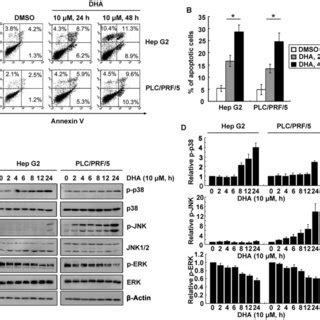 A DHA Induced Apoptosis In Liver Cancer Cells Cells Treated With