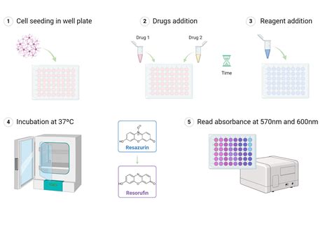 Alamar Blue Assay | BioRender Science Templates