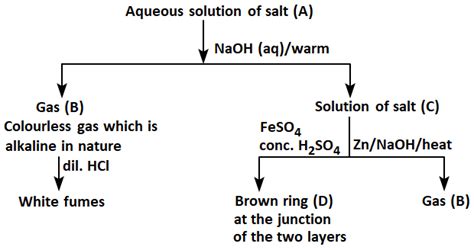 Salt Analysis Recommended Questions Salt Analysis Chemistry Neet