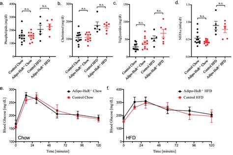 Adipocyte Specific Deletion Of HuR Does Not Affect Serum Lipids Or