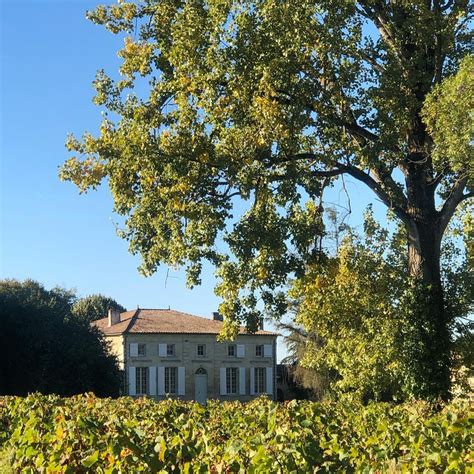 Château Moulin Haut Laroque Produzent