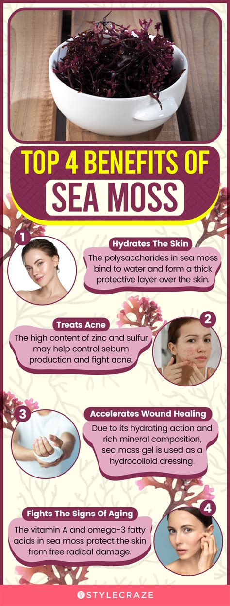 Sea Moss For Skin Care Benefits How To Use And Side Effects