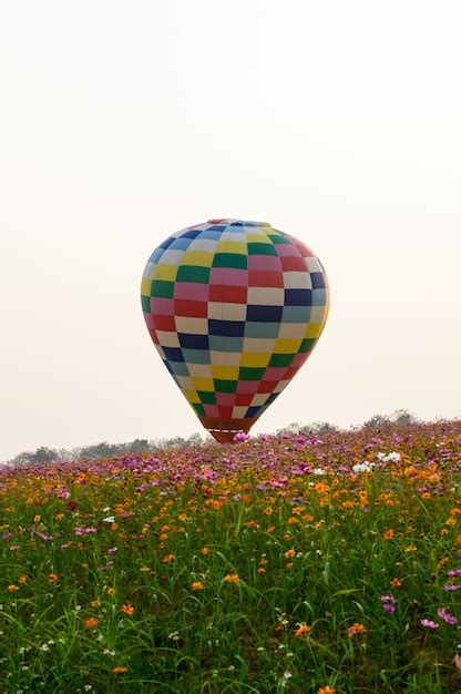 Premium Photo Balloon Floating In The Middle Of The Cosmos Flower Field