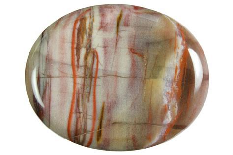 Polished Petrified Wood Worry Stones For Sale - FossilEra.com