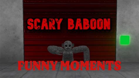 Scary Baboon Vr Funny Moments Youtube