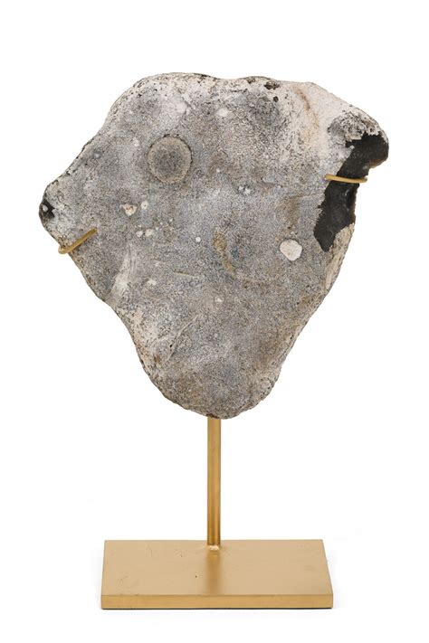 Group of Mounted Natural Sea Stone Specimens from Denmark For Sale at