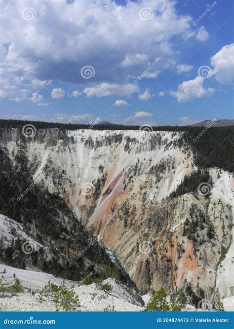 Salmon Arm Wyoming Stock Image Image Of Wyoming Yellowstone 204874473