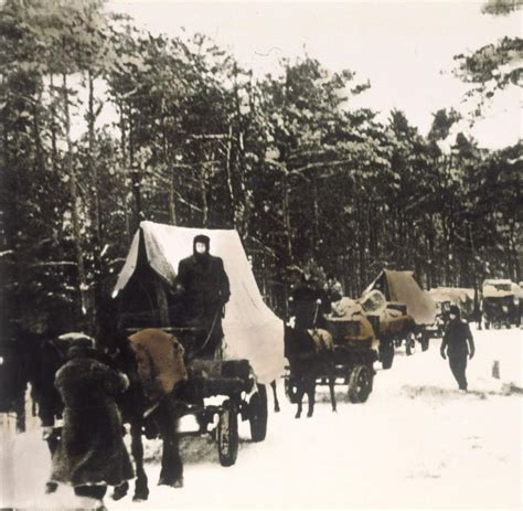 Untergang 1945 Als große Flucht nach Westen begann Bilder