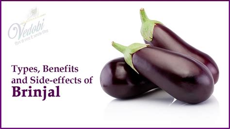 Vedobi - Types, Benefits, and Side-effects of Brinjal