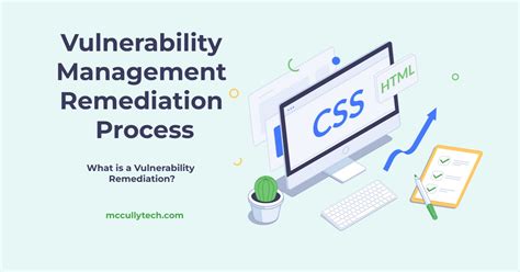 Vulnerability Management Remediation Process