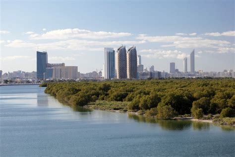 Drones To Drop Million Mangrove Seeds In Abu Dhabi The Ethicalist