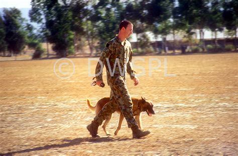 Australian Army Personnel Training Dogs